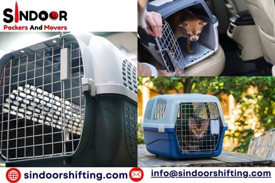 Pet Transport Services in India